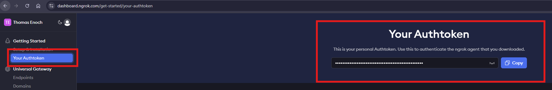 Ngrok Auth Token
